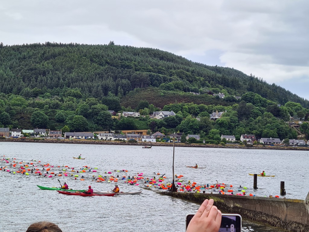 The Kessock Ferry Swim 2023 underway
